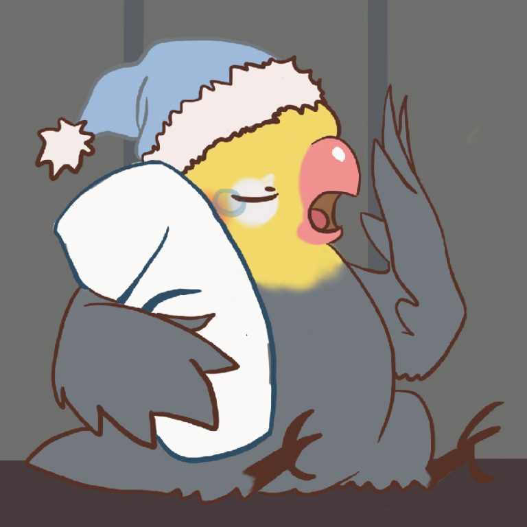 So You Wanna Cockatiel?